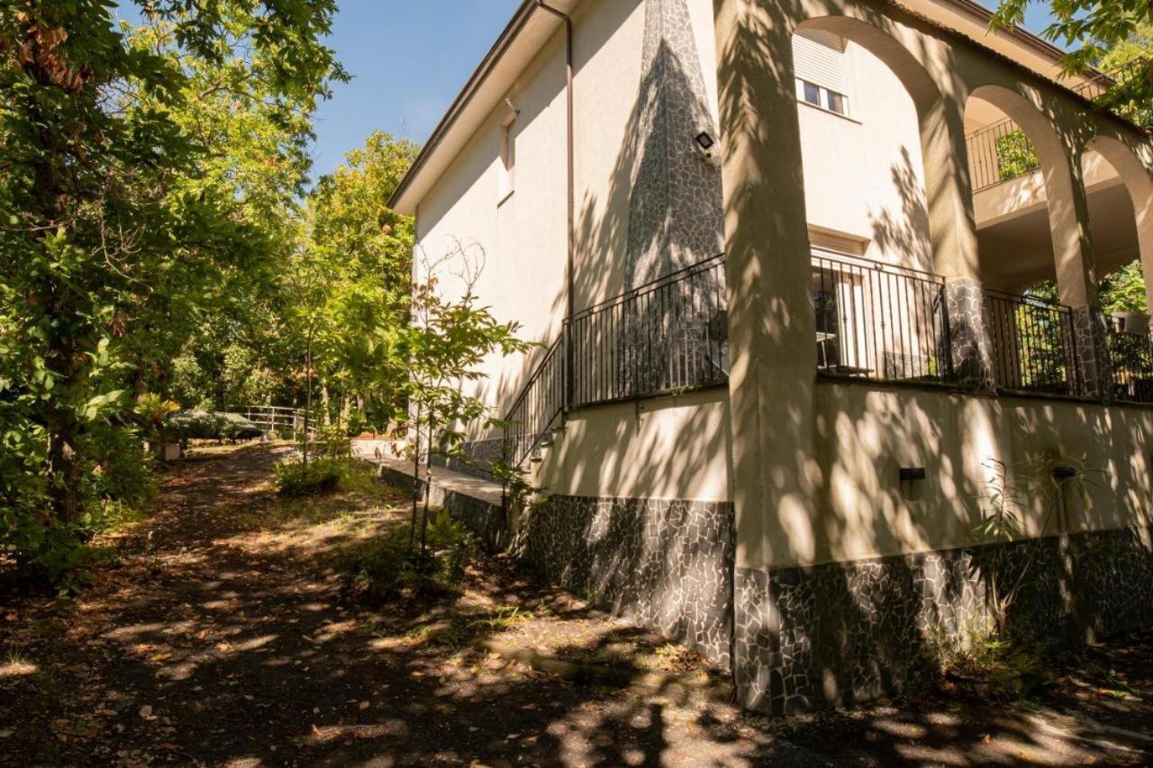 Ln Etna House-Villa Ad Uso Esclusivo Pedara Eksteriør billede